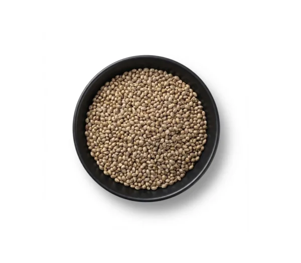 شاهدانه نمکی